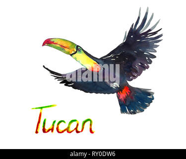 Bunte Tucan fliegen, isolierte Handgemalten Aquarell Abbildung mit handschriftlichen Aufschrift Stockfoto