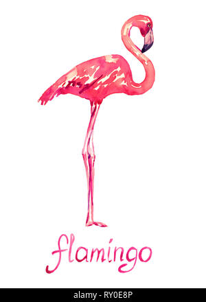 Rosa flamingo stehend, isolierte Handgemalten Aquarell Abbildung mit handschriftlichen Aufschrift Stockfoto
