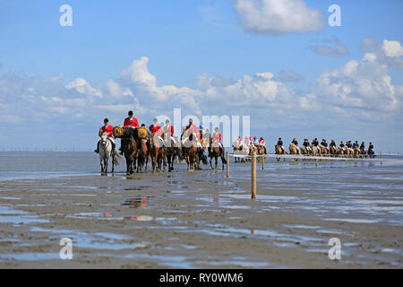 Duhner Wattrennen 2012, Duhnen, Cuxhaven, Deutschland Stockfoto