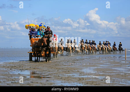 Duhner Wattrennen 2012, Duhnen, Cuxhaven, Deutschland Stockfoto