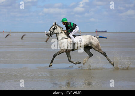 Duhner Wattrennen 2012, Duhnen, Cuxhaven, Deutschland Stockfoto