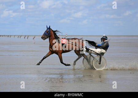 Duhner Wattrennen 2012, Duhnen, Cuxhaven, Deutschland Stockfoto