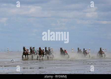 Duhner Wattrennen 2012, Duhnen, Cuxhaven, Deutschland Stockfoto