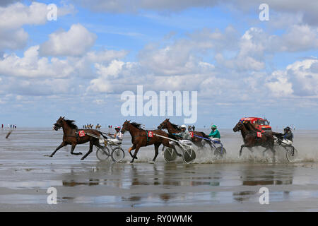 Duhner Wattrennen 2012, Duhnen, Cuxhaven, Deutschland Stockfoto