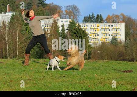 Frau wirft Fischkunde fuer Jack Russel Terrier und Wäller Waeller, Deutschland, Stockfoto
