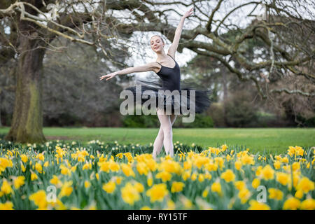 London, Großbritannien. 11. März, 2019. UK Wetter: Poppy Barnes, ein Tänzer mit Semaphore Ballet Company, führt im letzten Frühling Narzissen an einem sonnigen Montag Nachmittag in Greenwich. Credit: Guy Corbishley/Alamy leben Nachrichten Stockfoto