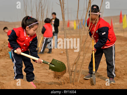 Xingtai, Hebei Provinz Chinas. 11 Mär, 2019. Kinder pflanzen Bäume an Wuzhong Dorf in Qiaoxi Bezirk der Stadt Xingtai, North China Provinz Hebei, 11. März 2019. Studenten aus Guoshoujing Grundschule nahmen an einer Aufforstung Aktivität begrüßen zu den bevorstehenden Bepflanzung Tag, auch als Arbor Day, der jedes Jahr fällt am 12. März bekannt. Credit: Mu Yu/Xinhua/Alamy leben Nachrichten Stockfoto