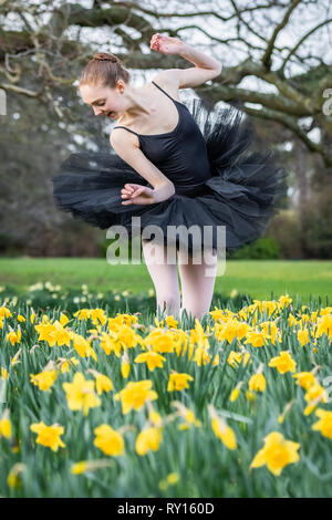 London, Großbritannien. 11. März, 2019. UK Wetter: Poppy Barnes, ein Tänzer mit Semaphore Ballet Company, führt im letzten Frühling Narzissen an einem sonnigen Montag Nachmittag in Greenwich. Credit: Guy Corbishley/Alamy leben Nachrichten Stockfoto