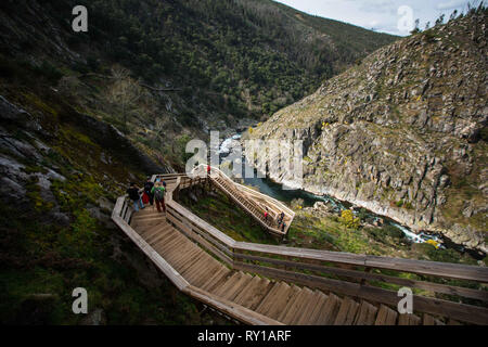 Arouca, Aveiro, Portugal. 4 Mär, 2019. Eine Fußgängerbrücke mit einem Schritt in die gehwege gesehen. Paiva Gehwege sind auf dem linken Ufer des Flusses Lima, in der Gemeinde von Alvor, Bezirk Aveiro, Portugal. Es sind 8 km von Kurs, erstreckt sich zwischen den Ufern des Areinho und Espiunca. Credit: Henrique Casinhas/SOPA Images/ZUMA Draht/Alamy leben Nachrichten Stockfoto