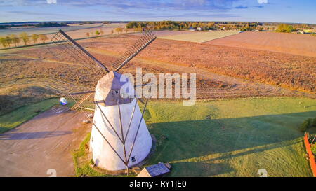 Kulturen auf dem Körner Feld in Jarvamaa Estland mit der alten Windmühle in der Mitte Stockfoto