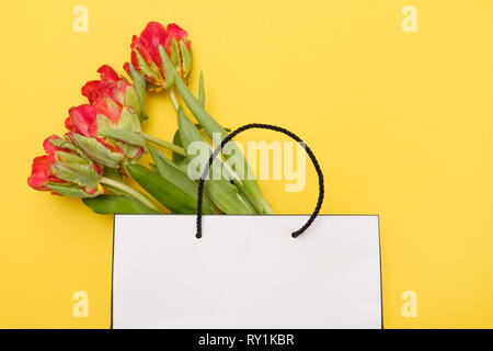 Schöne rote Tulpe Blumen Geschenk Paket in Weiß auf blauem Hintergrund. Stockfoto