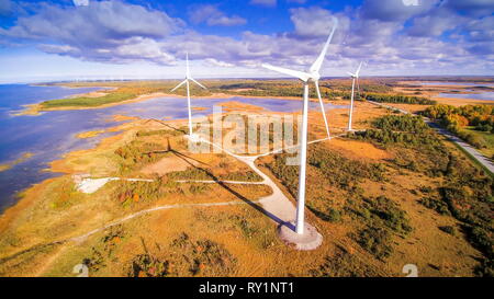 Die großen Windmühlen auf der Insel Saaremaa. Diese Windmühlen erzeugen Strom durch den windand moslty in der Nähe des Ozeans entfernt Stockfoto