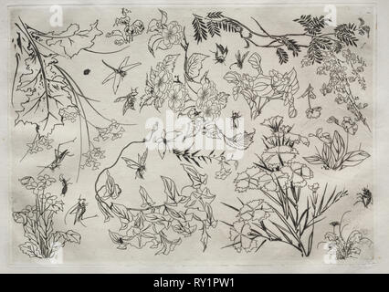 Abendessen (Rousseau): Blumen (Nr. 22), 1866. Félix Bracquemond (Französisch, 1833-1914). Ätzen; Blatt: 35 x 47,8 cm (13 3/4 x 18 13/16 in.); Plattenrand: 24,4 x 34,4 cm (9 5/8 x 13 9/16 Zoll Stockfoto