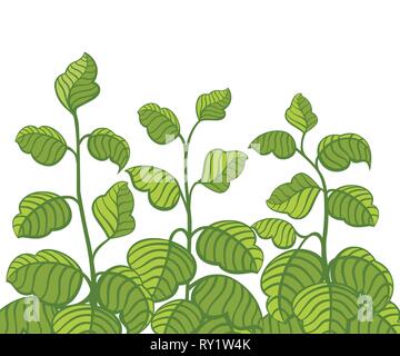 Rose grüne Büsche. Dunkelgrün und Hellgrün. Flache Vector Illustration auf weißem Hintergrund. Blätter aus verschiedenen Blickwinkeln. Stock Vektor