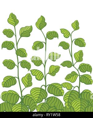 Rose grüne Büsche. Dunkelgrün und Hellgrün. Flache Vector Illustration auf weißem Hintergrund. Blätter aus verschiedenen Blickwinkeln. Stock Vektor
