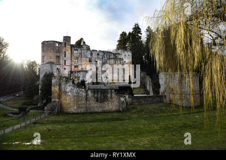 Die Beaufort Schloss ist in Beaufort im östlichen Luxemburg. Der älteste Teil der Burg ist um 11. Jahrhundert datiert. Stockfoto