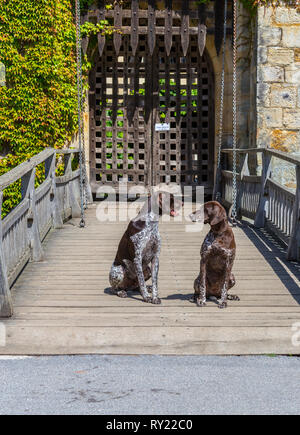 Außerdem befinden sich das Hever Castle, Hever, Kent, England Stockfoto