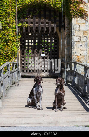 Außerdem befinden sich das Hever Castle, Hever, Kent, England Stockfoto