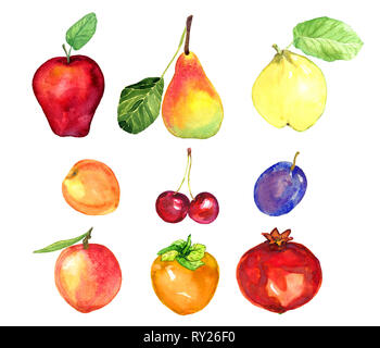 Früchte und Beeren sammeln, Apfel, Birne, Pflaume, Aprikose, Kirsche, Pfirsich, Granatapfel, Kaki, Quitte, Handgemalten Aquarell Abbildung Stockfoto
