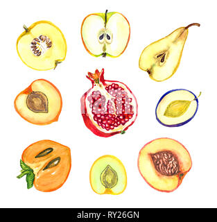 Geschnittenes Obst Sammlung, Apfel, Birne, Pflaume, Aprikose, Pflaume, Pfirsich, Granatapfel, Kaki, Quitte, Handgemalten Aquarell Abbildung Stockfoto