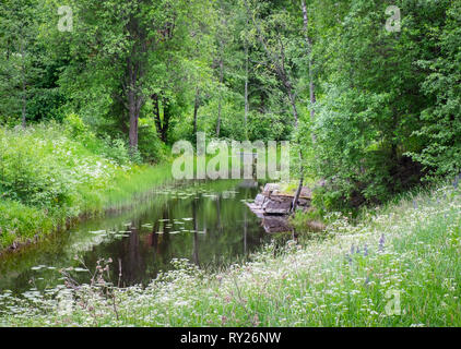 Das idyllische Flusslandschaft mit grüner Baum Blätter im Frühling in Finnland Stockfoto
