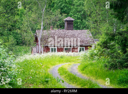 Alte und verlassene Hütte mit üppigen grünen Pflanzen im Sommer Tag in Finnland
