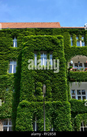 Fassadenbegruenung, Regensburger Straße, Schöneberg, Berlin, Deutschland Stockfoto