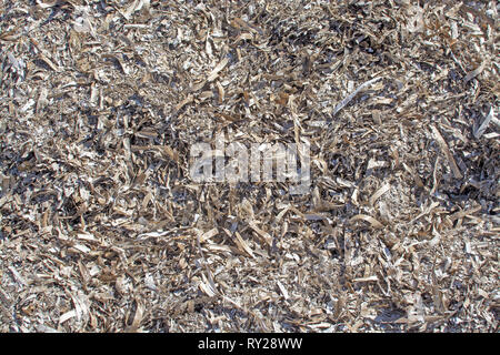 Tot Seegras Oberflächenstruktur closeup Hintergrund auf Winter Strand Stockfoto