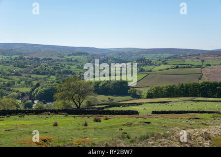 Schöne Aussicht aus der Nähe von Danby in die North York Moors National Park, England. Ein sonniger Frühlingstag. Stockfoto