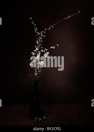 Prunus spinosa, Schlehe aka Schlehe Blume in der Vase, hell gestrichen und anschließend texturiert. Zarten weißen Frühling Blumen, Natur in der Kunst. Stockfoto