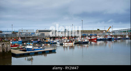 PETERHEAD, Aberdeenshire, Schottland, Großbritannien. 7. Juli 2017. Kleine Fischerboote neben in die Sicherheit der Hafen. Möwen Kreis Overhead Stockfoto