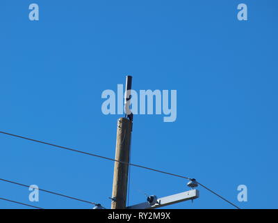 5G-Technologie strahlt Dallas Metroplex-OL 7837922 Stockfoto