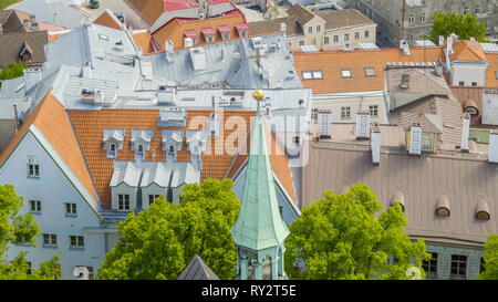 Die Altstadt von Tallin Stadt in Estland in ein Luftbild, wo die Dächer der Häuser und Bäume herum gesehen Stockfoto