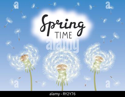 Schriftzug Frühling. Löwenzahn mit fliegenden Samen auf blauen Himmel. Vector Illustration. Stock Vektor
