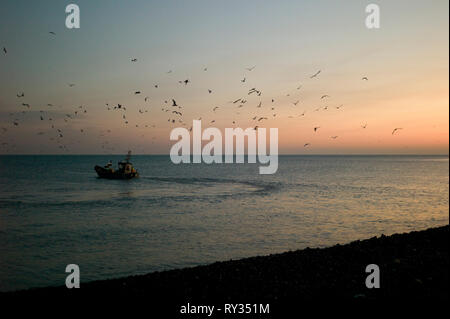 Fischerboot aus Einstellung zu Arbeit vor der Morgendämmerung, Normandie, Frankreich Stockfoto