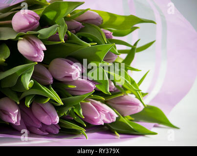 Schönen Blumenstrauß aus vielen kleinen Lavendel Tulpen Tulipa zum Feiern. Stockfoto