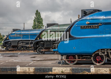 LNER 'A4' 4-6-2 Nr.60007 der ir-Nigel Gresley", Nr. 60019 Rohrdommel und Nr. 4468 "allard", NRM, York Stockfoto