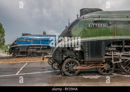 LNER 'A4' 4-6-2 Nr.60007 der ir-Nigel Gresley" und Nr. 60019 Rohrdommel, NRM, York Stockfoto