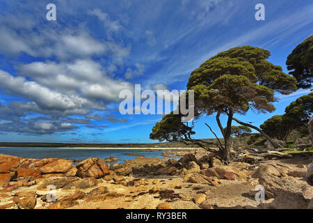 Schönheit in der Natur mit Felsen, Meer, Bäume, und Himmel bei Bunker Bay auf Cape Naturaliste in Westaustralien Stockfoto