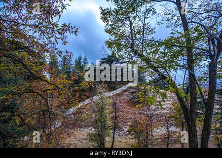 Bcharre Zedern Gottes Wald Weltkulturerbe der UNESCO Stockfoto