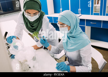 Muslimische Wissenschaftler experimentieren mit Trockeneis und Brokkoli in chemischen Labors Stockfoto