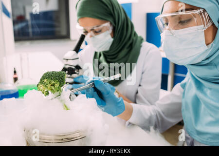 Muslimische Wissenschaftler experimentieren mit Trockeneis und Brokkoli in chemischen Labors Stockfoto