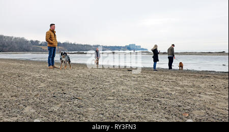 Clevelanders mit ihren Hunden auf Edgewater Beach in Cleveland, Ohio, USA, auf einem klaren Wintertag auf der eisigen See Erie Shoreline Stockfoto