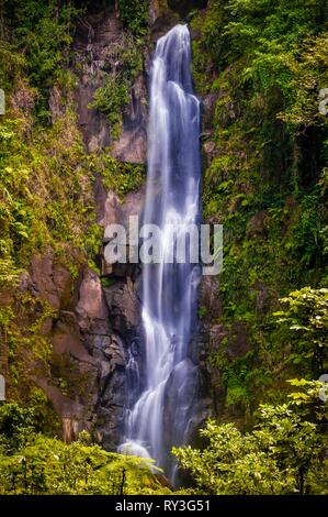 Dominica, Morne Trois Pitons Nationalpark eingeschrieben auf der UNESCO-Liste des Weltkulturerbes, Trafalgar fällt in das Herz des Regenwaldes Stockfoto