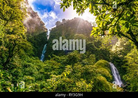 Dominica, Morne Trois Pitons Nationalpark eingeschrieben auf der Liste des Weltkulturerbes der UNESCO, Trafalgar fällt in das Herz des Regenwaldes Stockfoto
