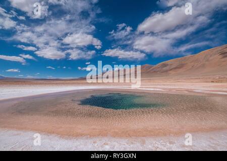 Argentinien, Provinz Salta, Puna Wüste, Tolar Grande, Salar Ojos del Mar Stockfoto