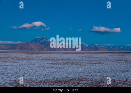 Argentinien, Provinz Salta, Puna Wüste, Tolar Grande, Salar de Arizaro und volcan Aracar Stockfoto