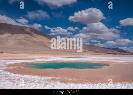 Argentinien, Provinz Salta, Puna Wüste, Tolar Grande, Salar Ojos del Mar Stockfoto