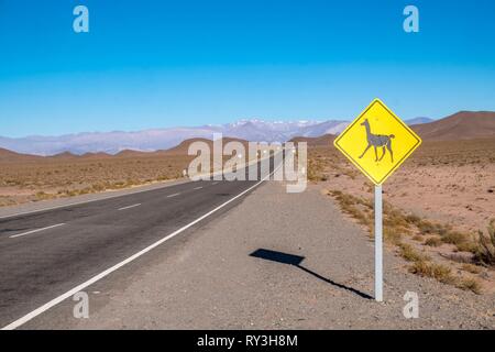 Argentinien, Provinz Salta, Valles Calchaquies, in der Nähe von Cachi, Parque Nacional Los Cardones Stockfoto