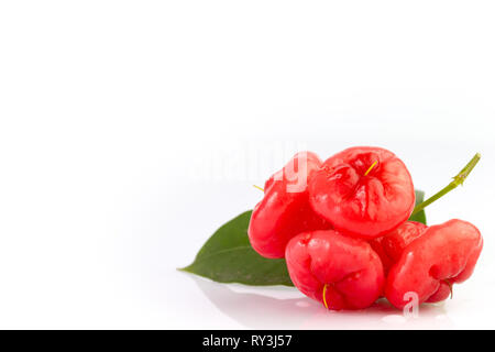 Closeup frische Rose Apfel mit Wassertropfen und Blätter auf weißem Hintergrund. Stockfoto
